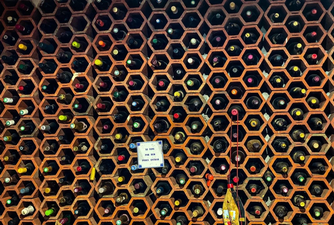 Moradia T5 para Venda em Vale de Prazeres e Mata da Rainha Foto 50