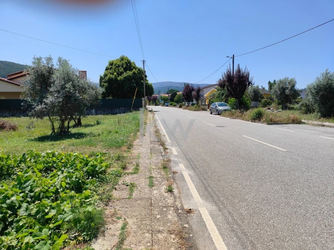 Terreno para Venda em Arganil Foto 3