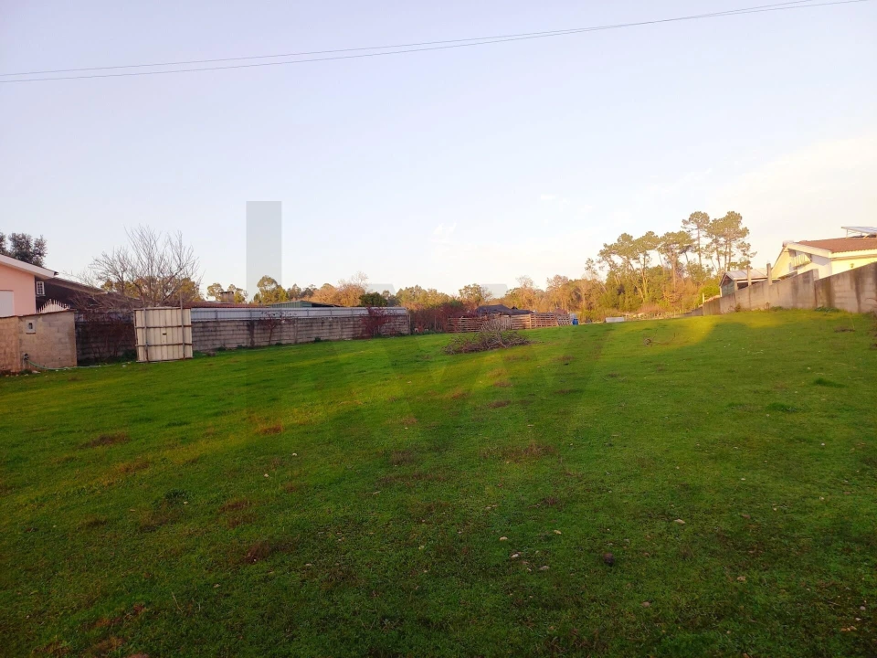Terreno para Venda em Travassô e Óis da Ribeira Foto 6