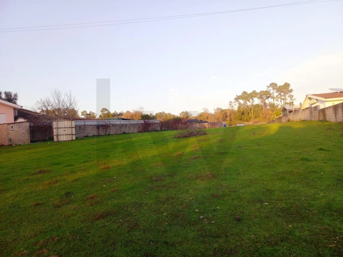 Terreno para Venda em Travassô e Óis da Ribeira Foto 6