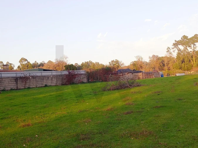 Terreno para Venda em Travassô e Óis da Ribeira Foto 5