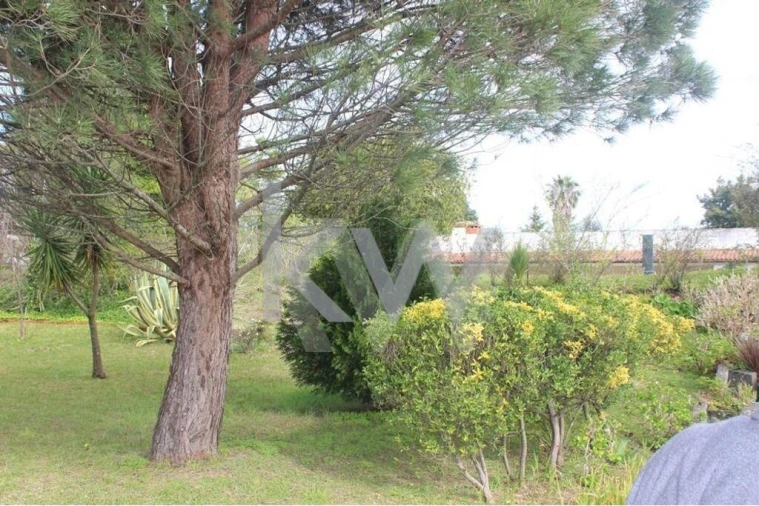 Terreno para Venda em O. Azeméis, Riba-Ul, Ul, Macinhata Seixa, Madail Foto 5