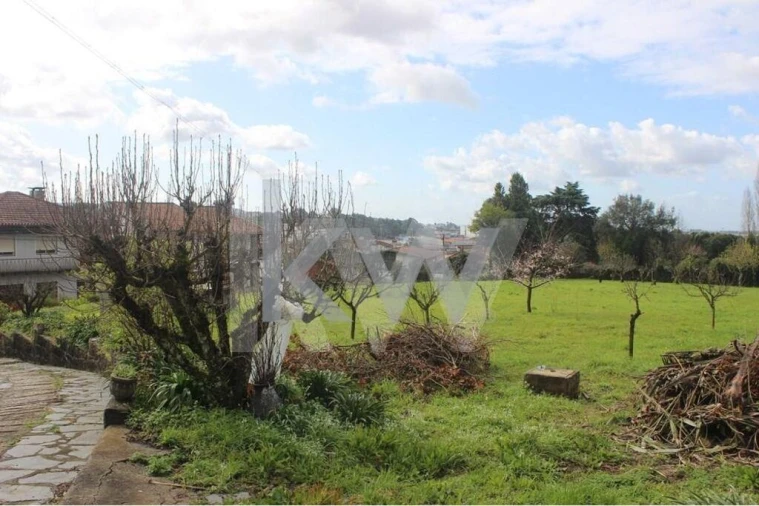 Terreno para Venda em O. Azeméis, Riba-Ul, Ul, Macinhata Seixa, Madail Foto 3