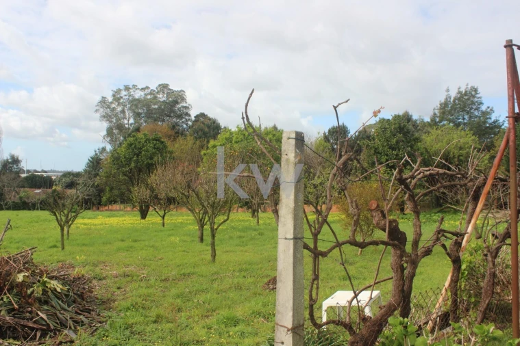 Terreno para Venda em O. Azeméis, Riba-Ul, Ul, Macinhata Seixa, Madail Foto 15