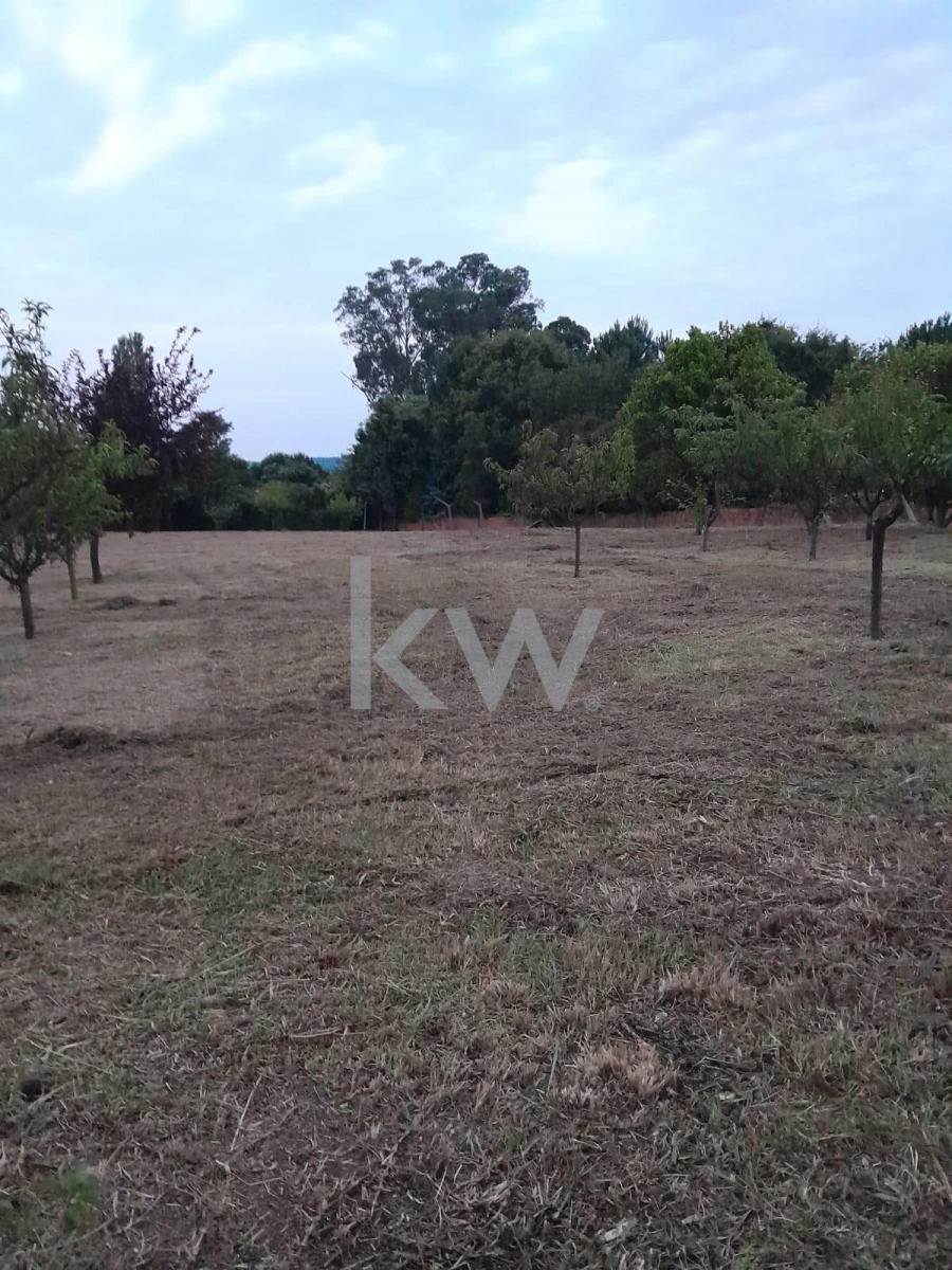 Terreno para Venda em O. Azeméis, Riba-Ul, Ul, Macinhata Seixa, Madail Foto 8