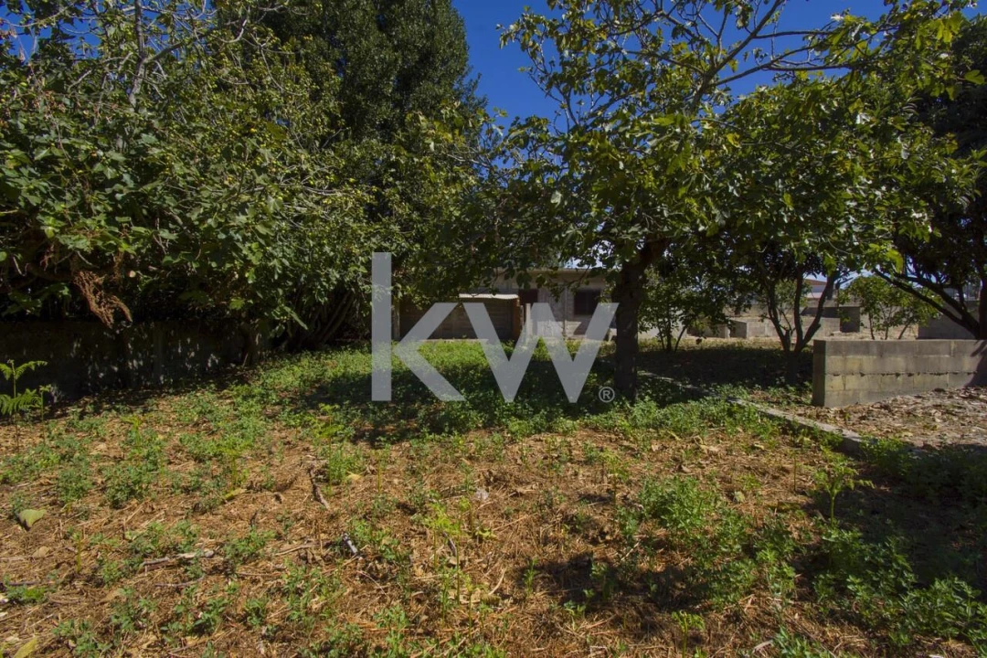 Terreno para Venda em Fernao Ferro Foto 28