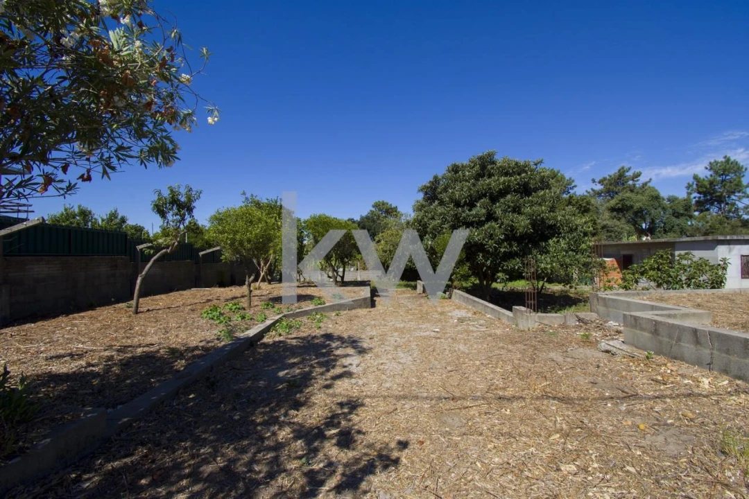 Terreno para Venda em Fernao Ferro Foto 42