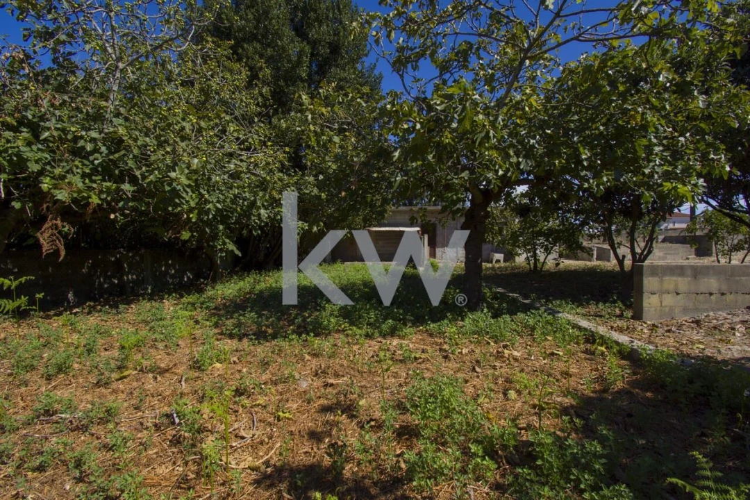 Terreno para Venda em Fernao Ferro Foto 24