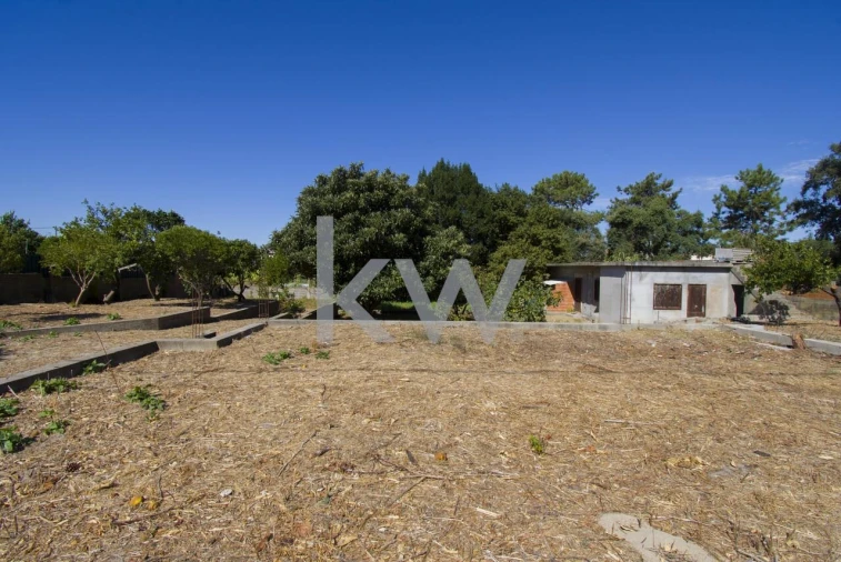 Terreno para Venda em Fernao Ferro Foto 8