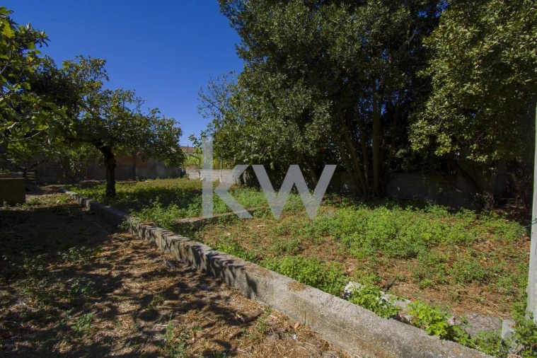 Terreno para Venda em Fernao Ferro Foto 20