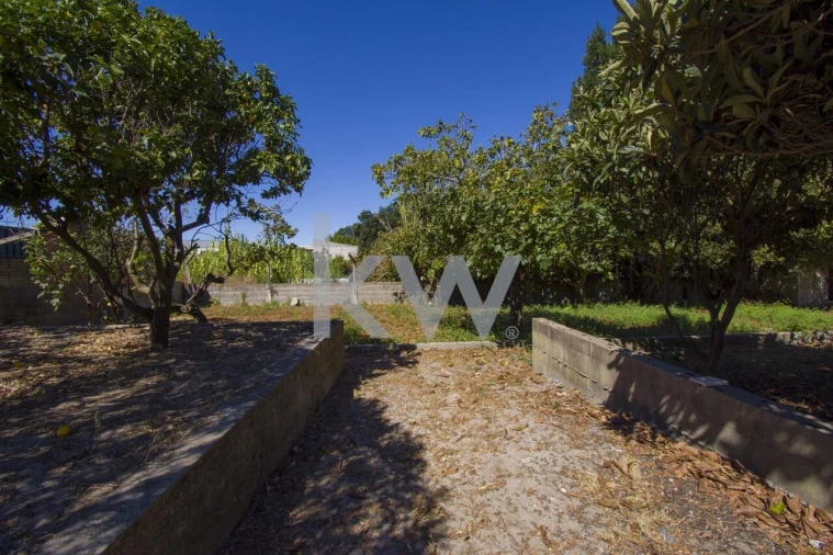 Terreno para Venda em Fernao Ferro Foto 37
