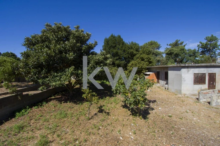 Terreno para Venda em Fernao Ferro Foto 21