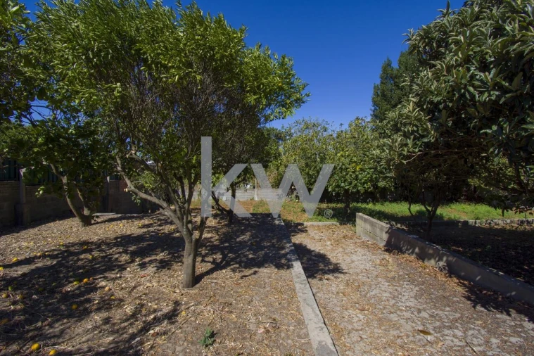 Terreno para Venda em Fernao Ferro Foto 39