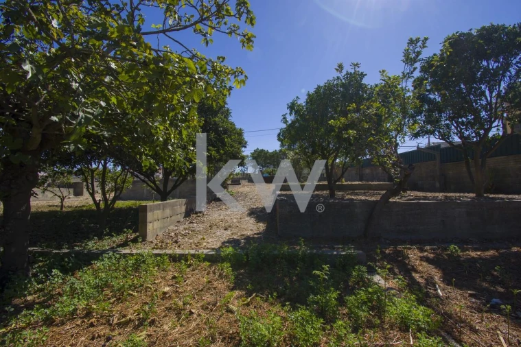 Terreno para Venda em Fernao Ferro Foto 29