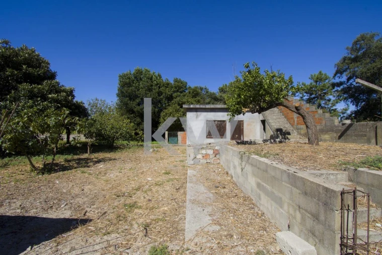 Terreno para Venda em Fernao Ferro Foto 14