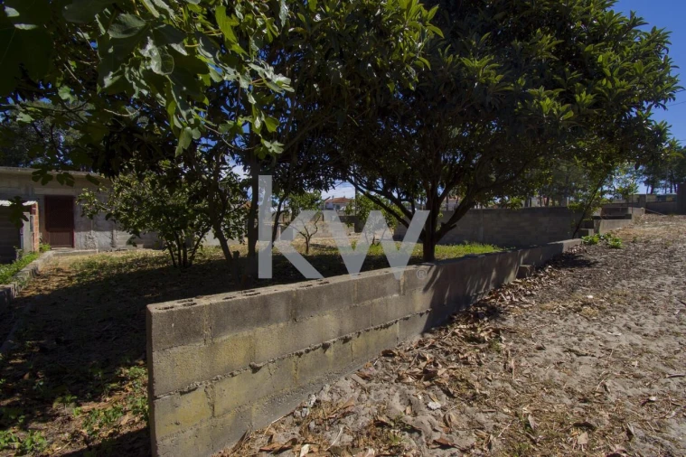 Terreno para Venda em Fernao Ferro Foto 32