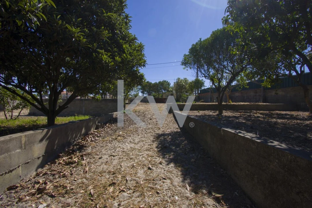 Terreno para Venda em Fernao Ferro Foto 31