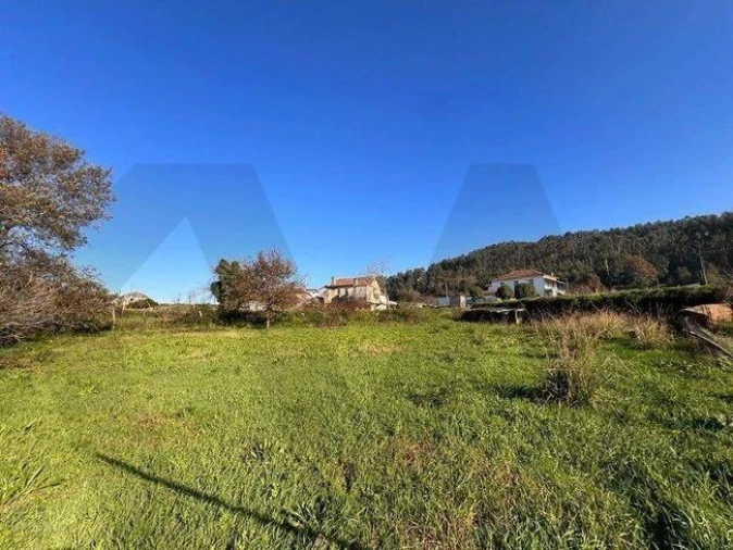 Terreno para Venda em O. Azeméis, Riba-Ul, Ul, Macinhata Seixa, Madail Foto 26