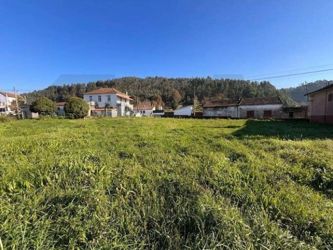 Terreno para Venda em O. Azeméis, Riba-Ul, Ul, Macinhata Seixa, Madail Foto 21