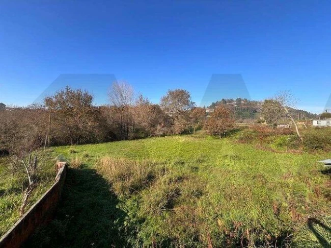 Terreno para Venda em O. Azeméis, Riba-Ul, Ul, Macinhata Seixa, Madail Foto 22