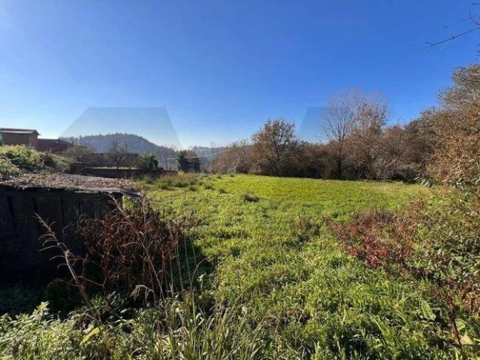 Terreno para Venda em O. Azeméis, Riba-Ul, Ul, Macinhata Seixa, Madail Foto 25