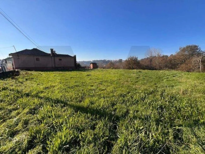 Terreno para Venda em O. Azeméis, Riba-Ul, Ul, Macinhata Seixa, Madail Foto 20
