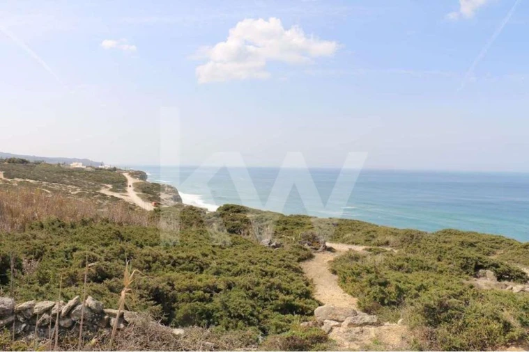 Terreno para Venda em Santa Maria e São Miguel, São Martinho, São Pedro Penaferrim Foto 4
