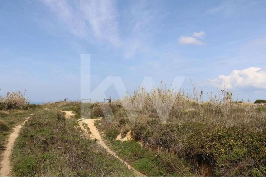 Terreno para Venda em Santa Maria e São Miguel, São Martinho, São Pedro Penaferrim Foto 2