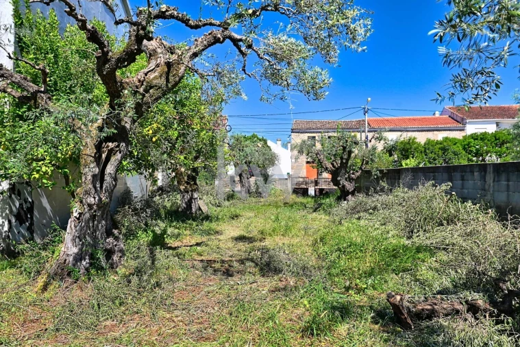 Moradia T5 para Venda em São Miguel de Acha Foto 44