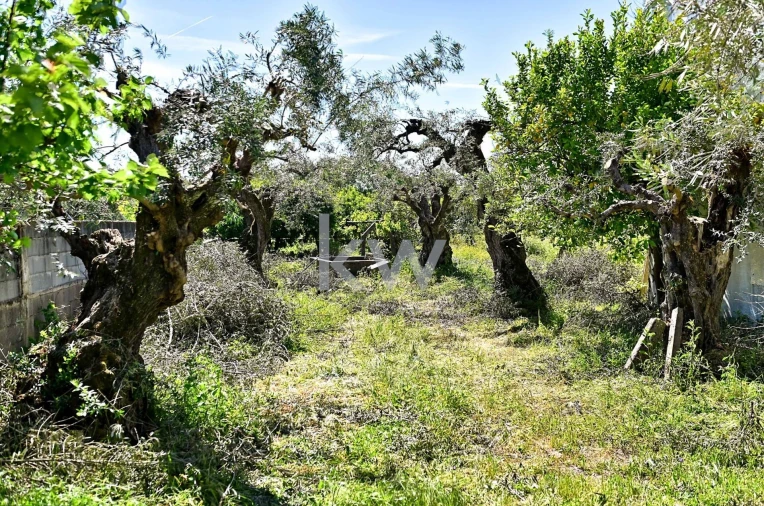Moradia T5 para Venda em São Miguel de Acha Foto 42
