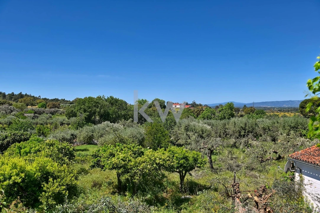 Moradia T5 para Venda em São Miguel de Acha Foto 6