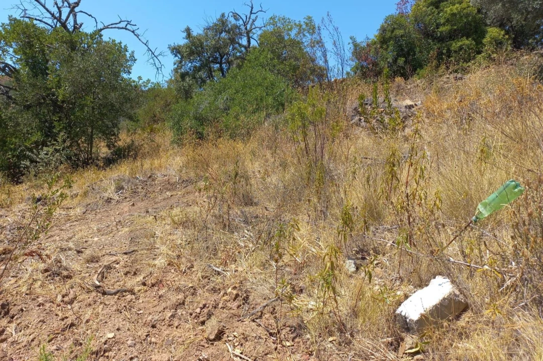 Terreno para Venda em Santa Catarina da Fonte do Bispo Foto 4