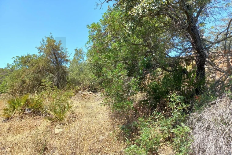 Terreno para Venda em Santa Catarina da Fonte do Bispo Foto 2