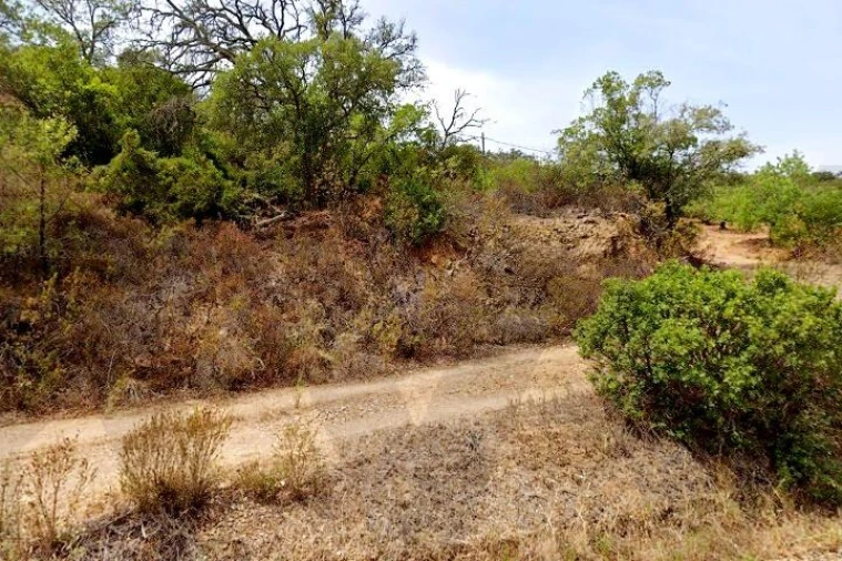 Terreno para Venda em Santa Catarina da Fonte do Bispo Foto 5