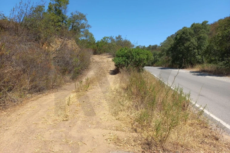 Terreno para Venda em Santa Catarina da Fonte do Bispo