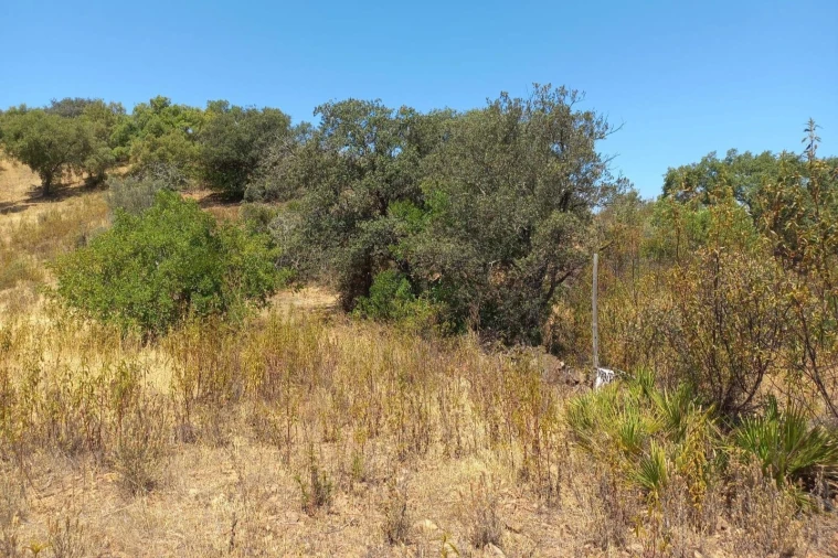 Terreno para Venda em Santa Catarina da Fonte do Bispo Foto 3