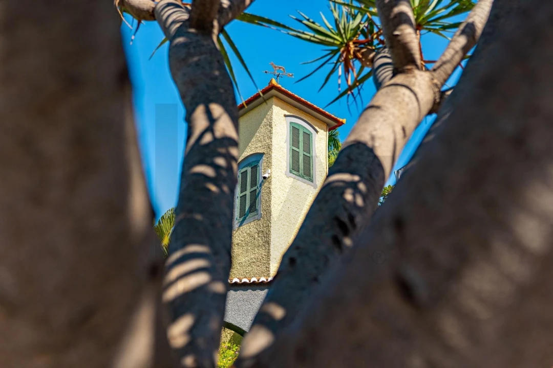 Moradia T5 para Venda em Funchal (Santa Luzia) Foto 99