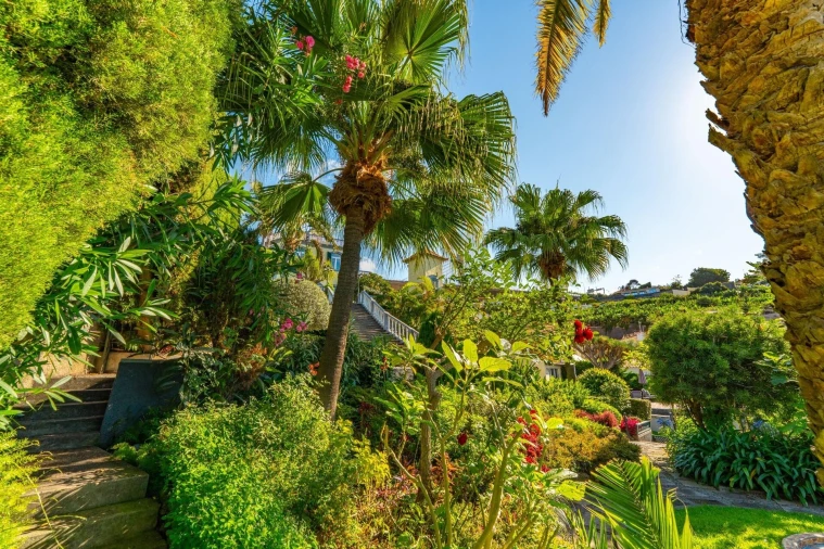 Moradia T5 para Venda em Funchal (Santa Luzia) Foto 78