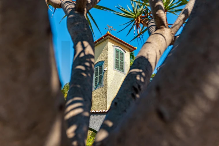 Moradia T5 para Venda em Funchal (Santa Luzia) Foto 99