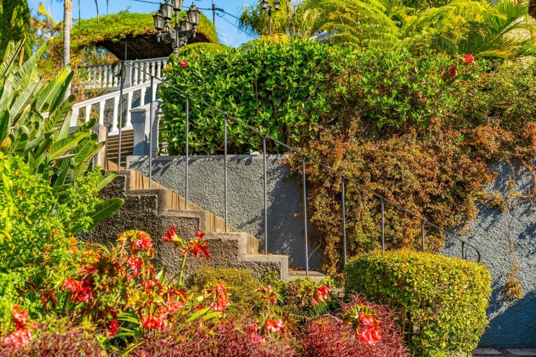 Moradia T5 para Venda em Funchal (Santa Luzia) Foto 102