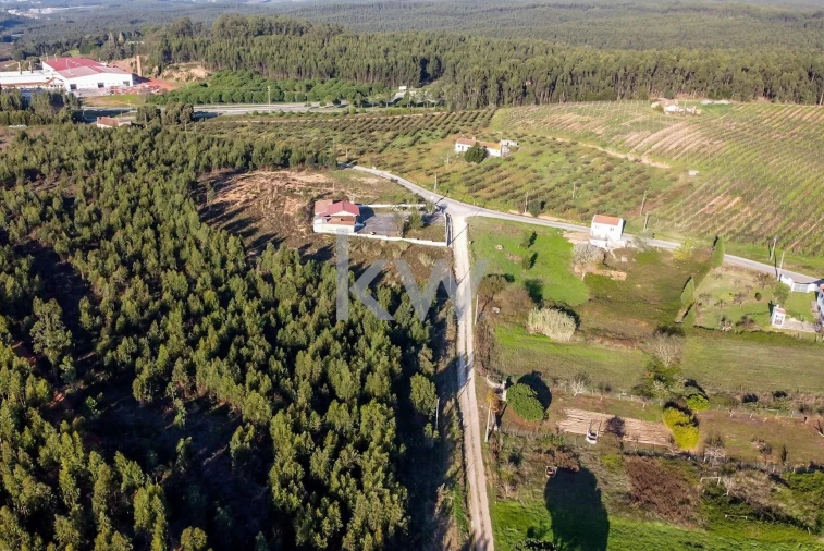 Terreno para Venda em Campelos e Outeiro da Cabeça Foto 10
