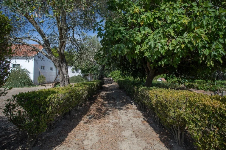 Moradia T7 para Venda em Caparica e Trafaria Foto 5