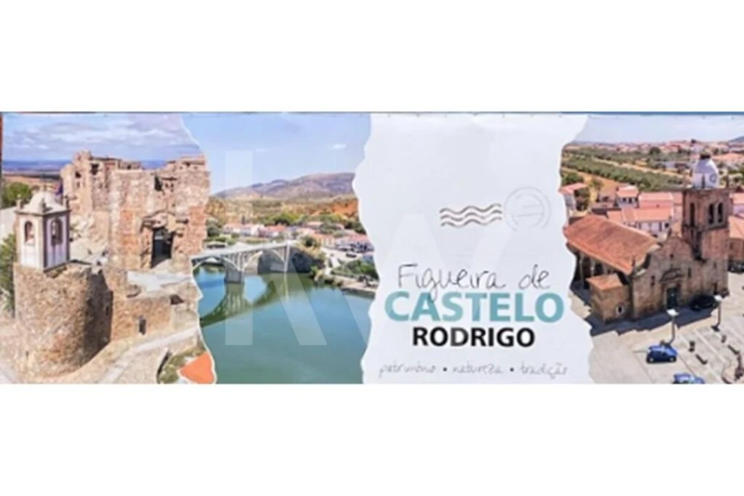 Moradia T6 para Venda em Figueira de Castelo Rodrigo Foto 8