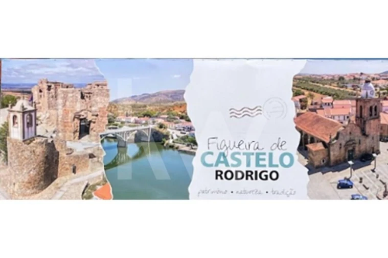 Moradia T6 para Venda em Figueira de Castelo Rodrigo Foto 8