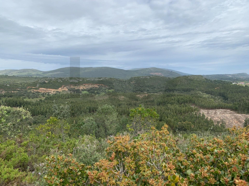 Terreno para Venda em Monsanto Foto 10