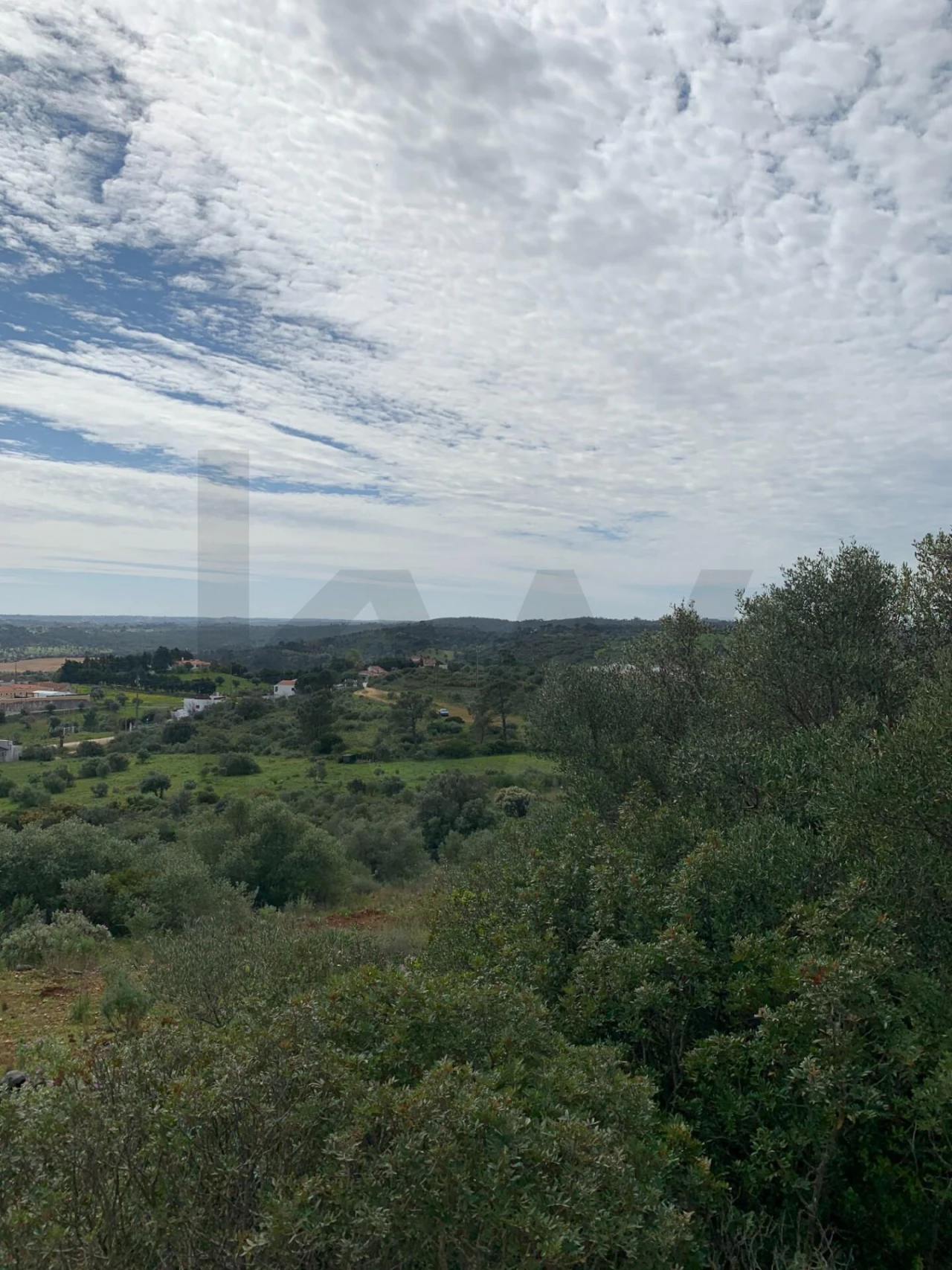 Terreno para Venda em Monsanto Foto 13
