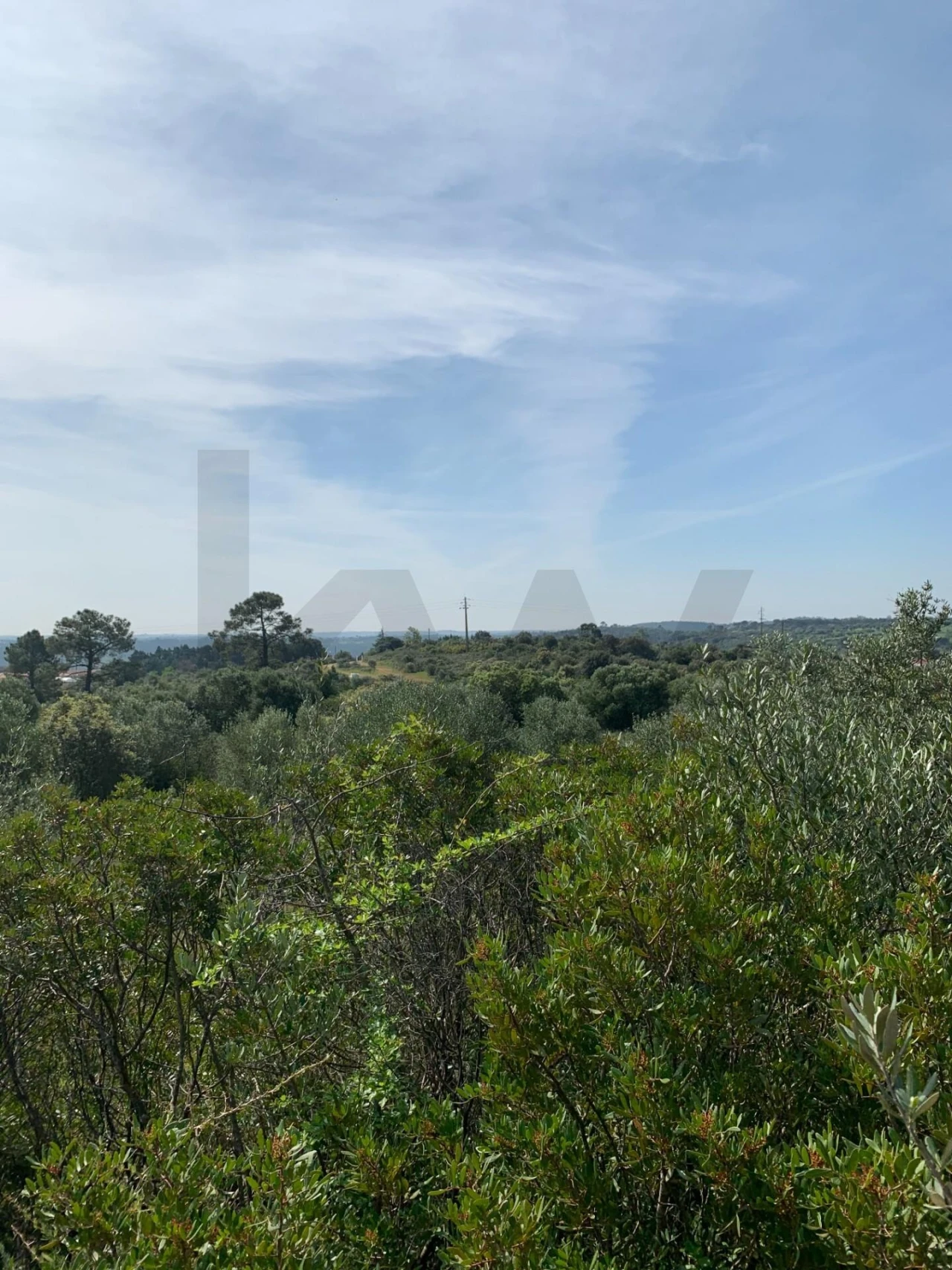 Terreno para Venda em Monsanto Foto 11