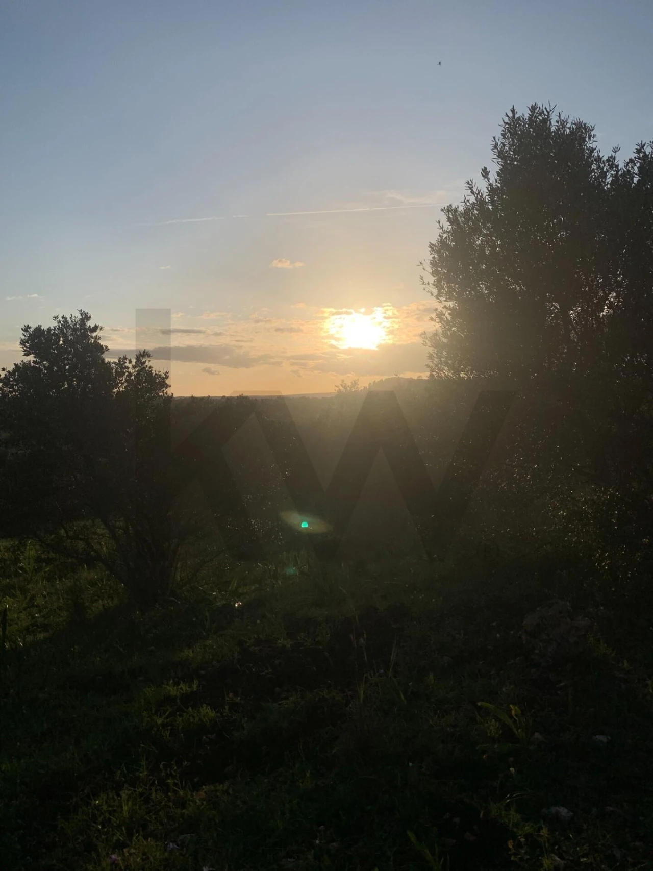 Terreno para Venda em Monsanto Foto 16