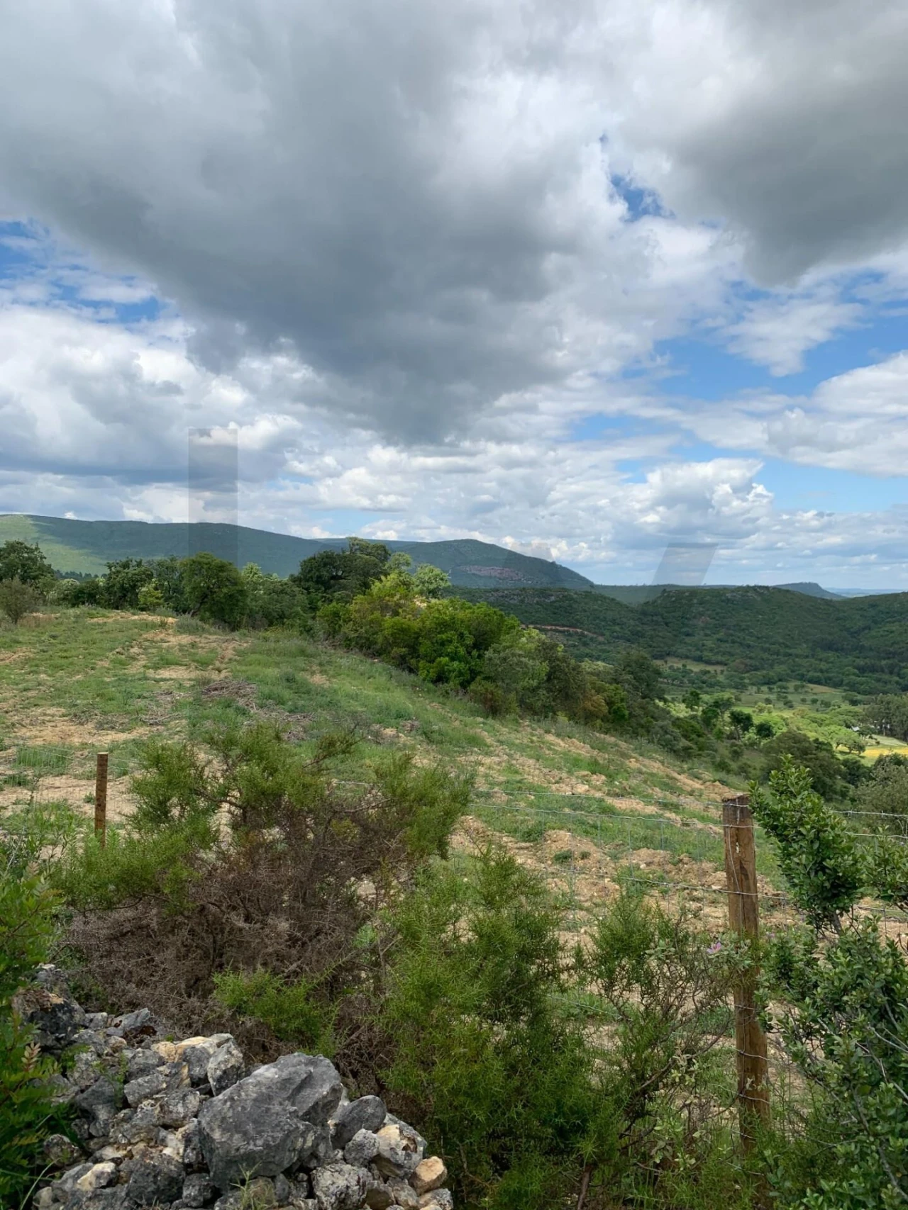 Terreno para Venda em Monsanto Foto 21