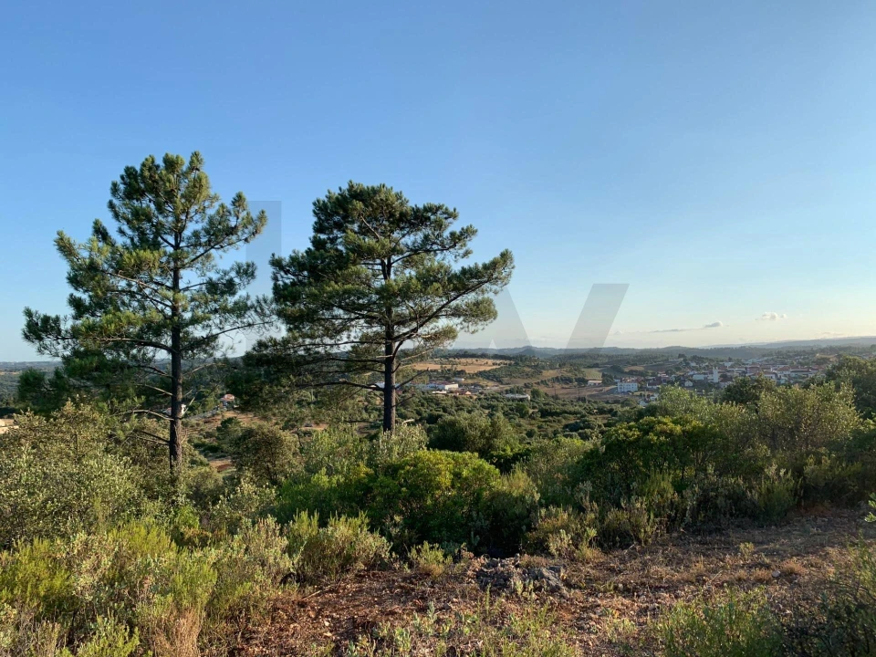Terreno para Venda em Monsanto Foto 7